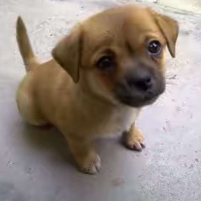 红尘情歌-对唱纯伴奏