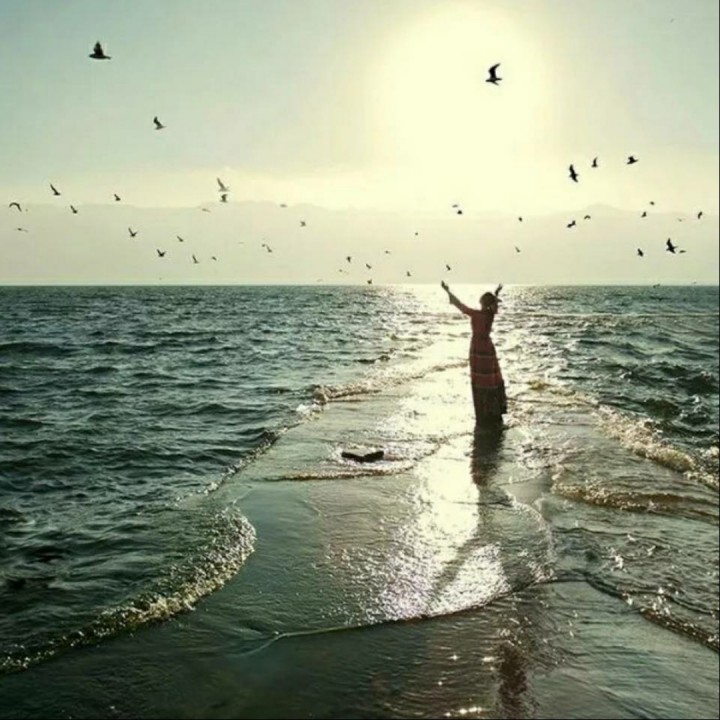 漂洋过海来看你【好声音原版立体声伴奏】