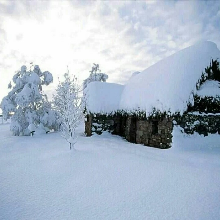 北方的雪 为何制作