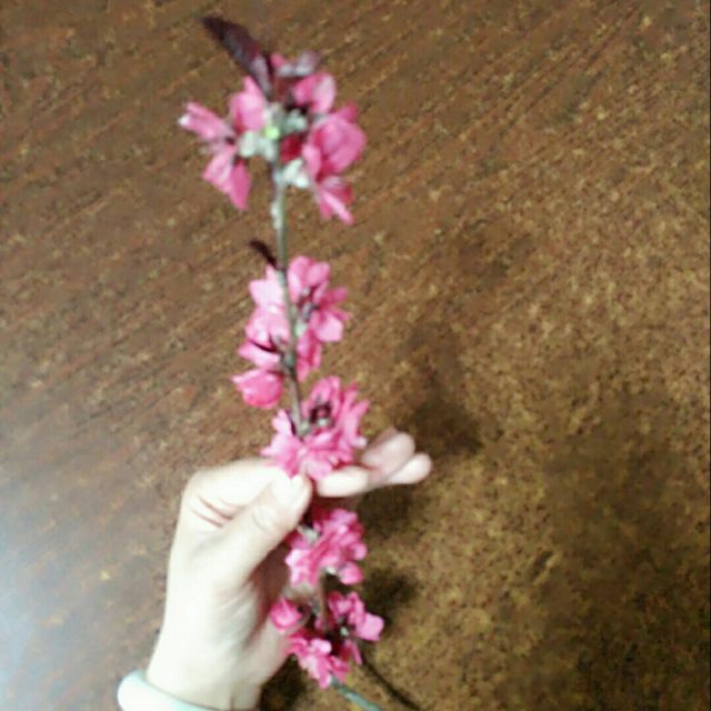 追光者 英文版 - 蓝云李 唱吧,听见歌声遇见你