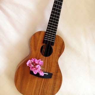 在九月结束的时候与你告别【吉他伴奏】 - 撒哈