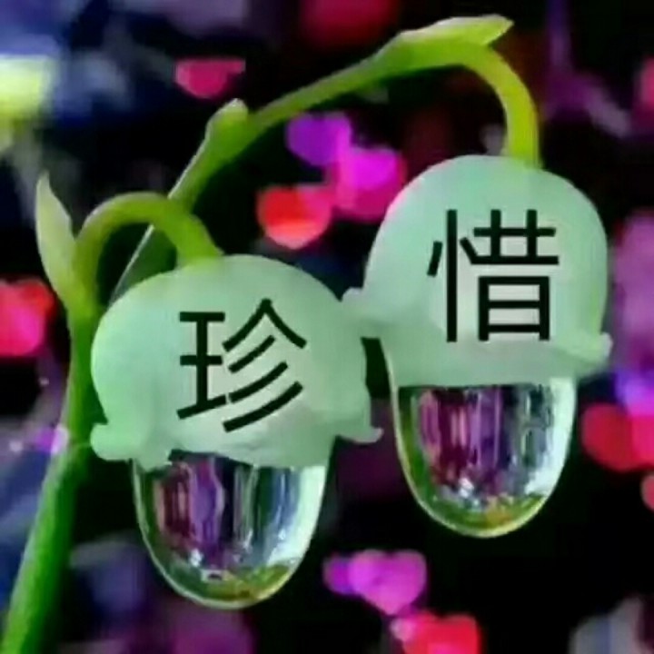 缘分惹的祸