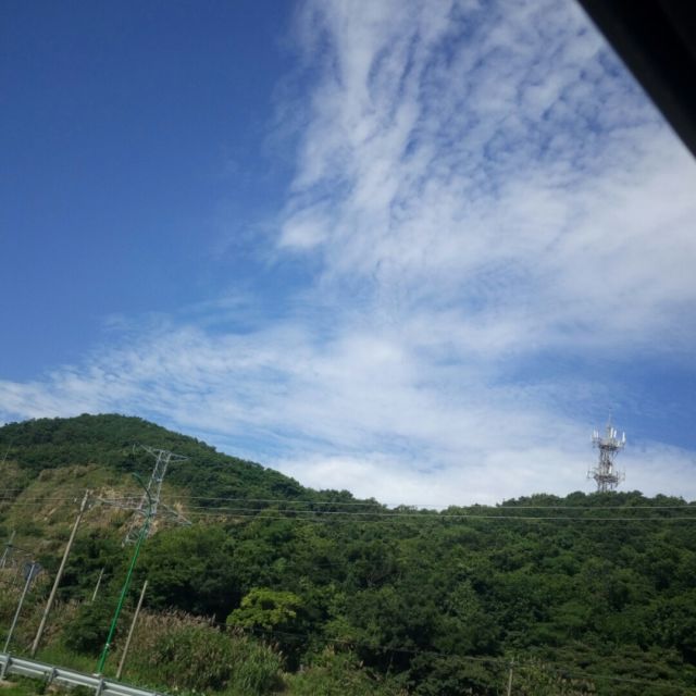 没有钱你会爱我吗