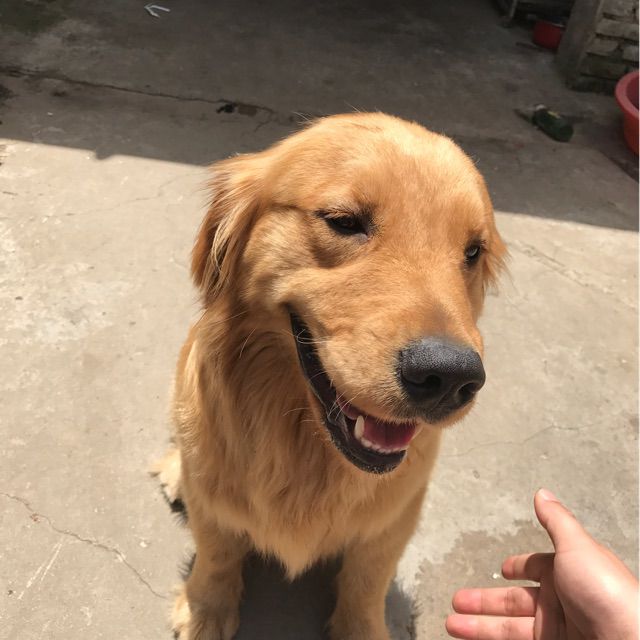 美丽的神话 伴奏【F调】