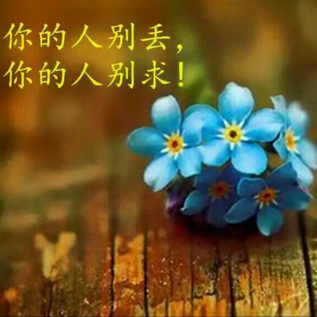 今生无缘来生再聚
