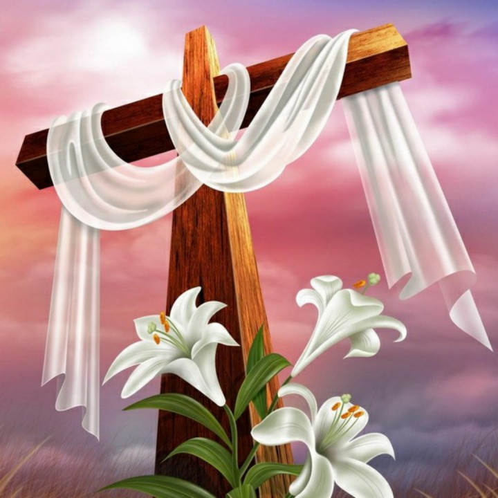 中国的早晨五点钟【电音版】