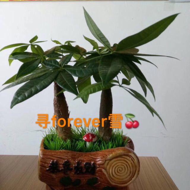 一晃就老了【DJ版 立明】 - 寻forever雪 - 唱吧