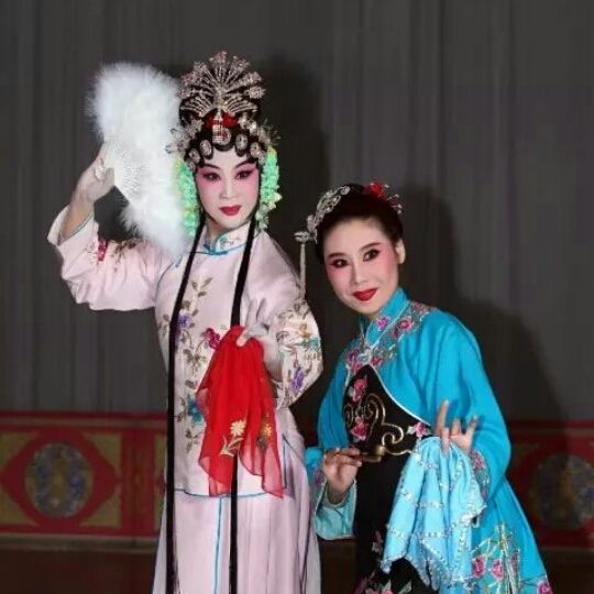 评剧 花为媒 报花名 对唱一折