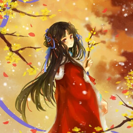 雨落长安【安澜制作】