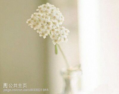 爱赢才会拼 - 淤鱼禹寓 唱吧,最时尚的手机KTV