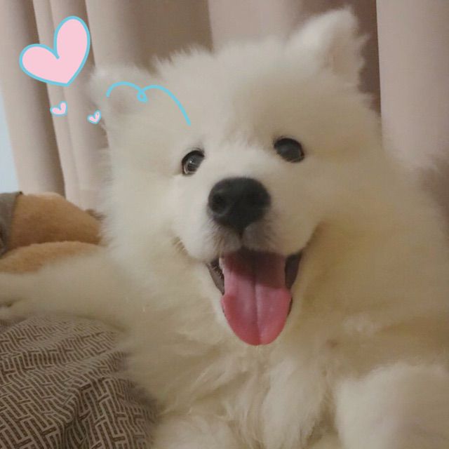 木兰星【男生版】 - 乌鸦KaRaS 唱吧,听见歌声