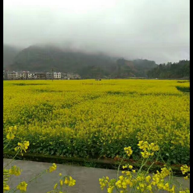 爱江山更爱美人【文杰专用伴奏】 - 猪猪侠450