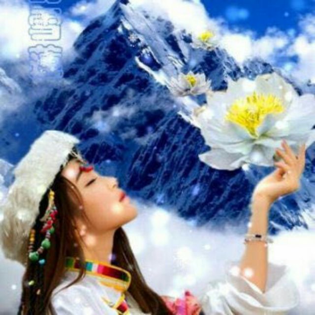 做你的雪莲【糖豆制作(合唱版)】