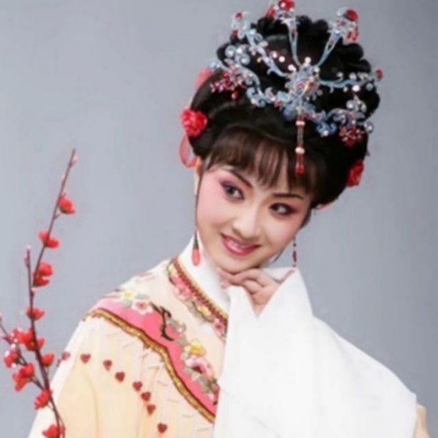 豫剧 朝阳沟 自从你们写信要下乡【最深处记忆