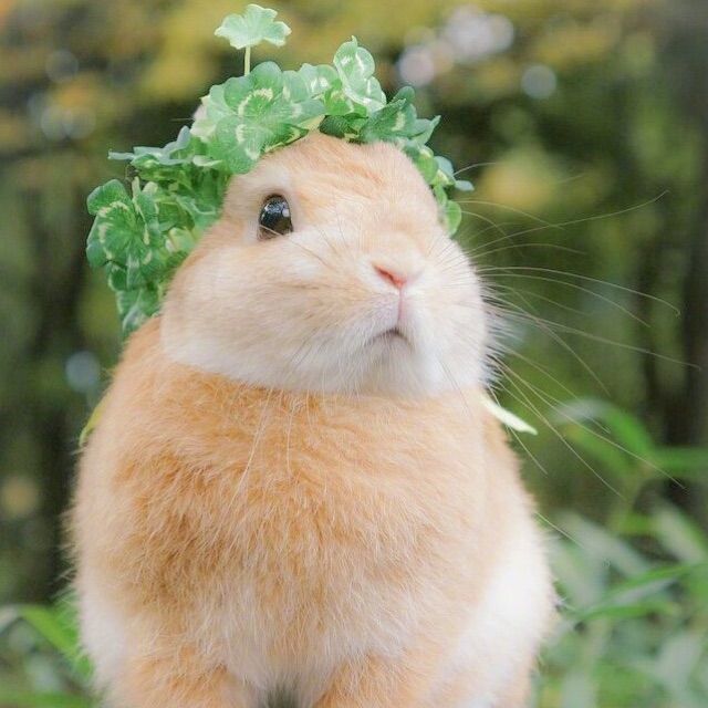 亲爱的你怎么不在我身边【2014.3.31】