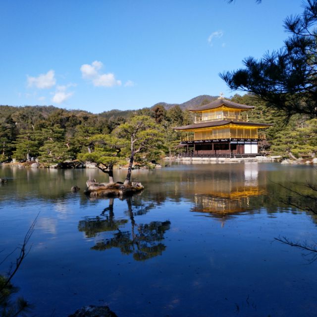 烟花二月去踏青