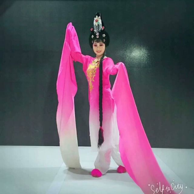 豫剧 风流才子 你不叫我越界我遵命【 知慈制作