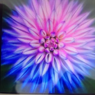 越剧 梁祝 楼台会