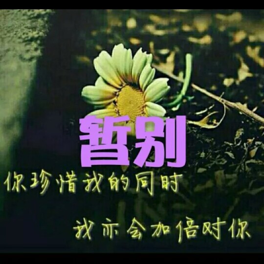 安静- 欣儿,暂离 唱吧,听见歌声遇见你