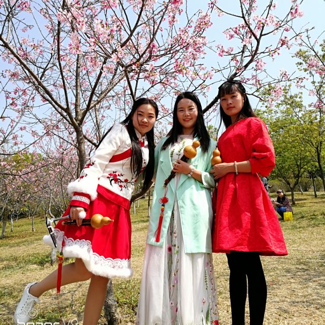 葫芦丝F调伴奏-竹楼情歌(李)