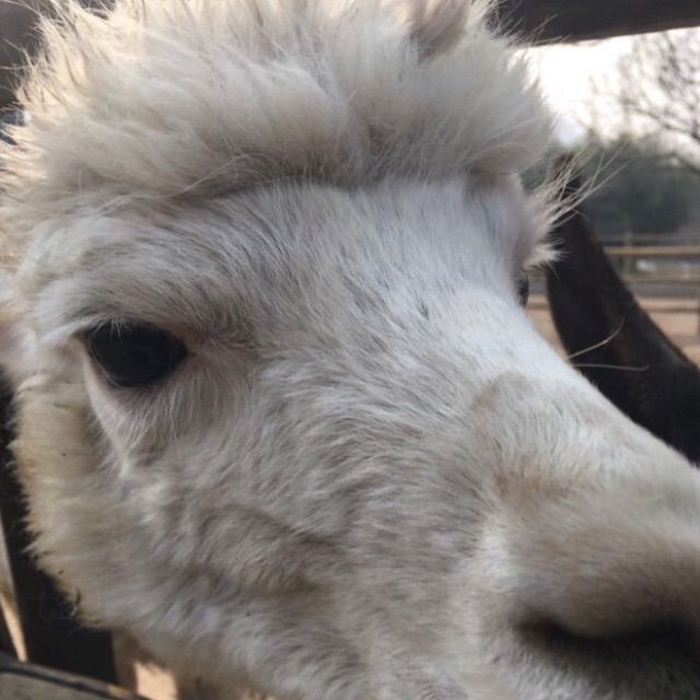 水星记【原版伴奏】