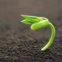 情路弯弯DJ版【娜年娜月制作】