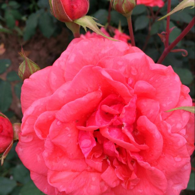 我的牵挂你懂 - 初学唱初学唱 - 唱吧,手机里的K