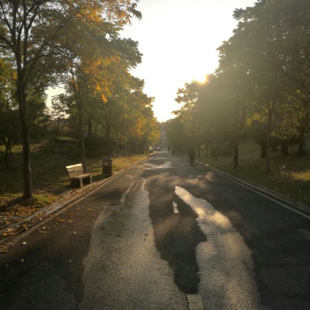 魔鬼中的天使【男版伴奏】