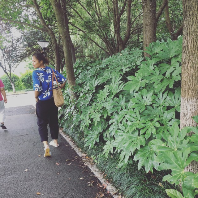 sober(音译歌词)【原唱】 - psychoB - 唱吧,听见