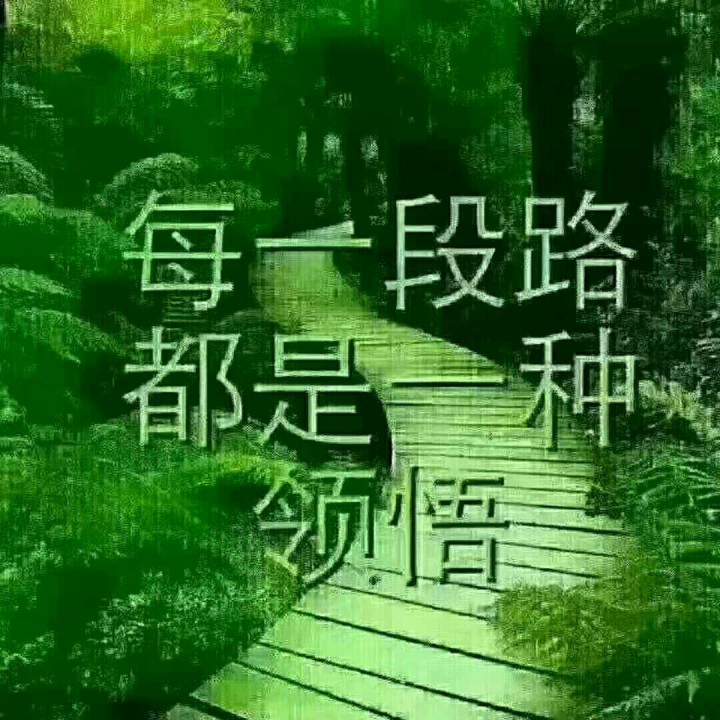 一生无悔
