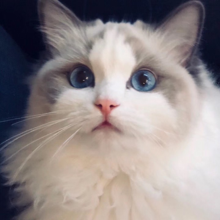 唱吧 - sleep alone这首歌歌词里未曾出现一个&ldquo