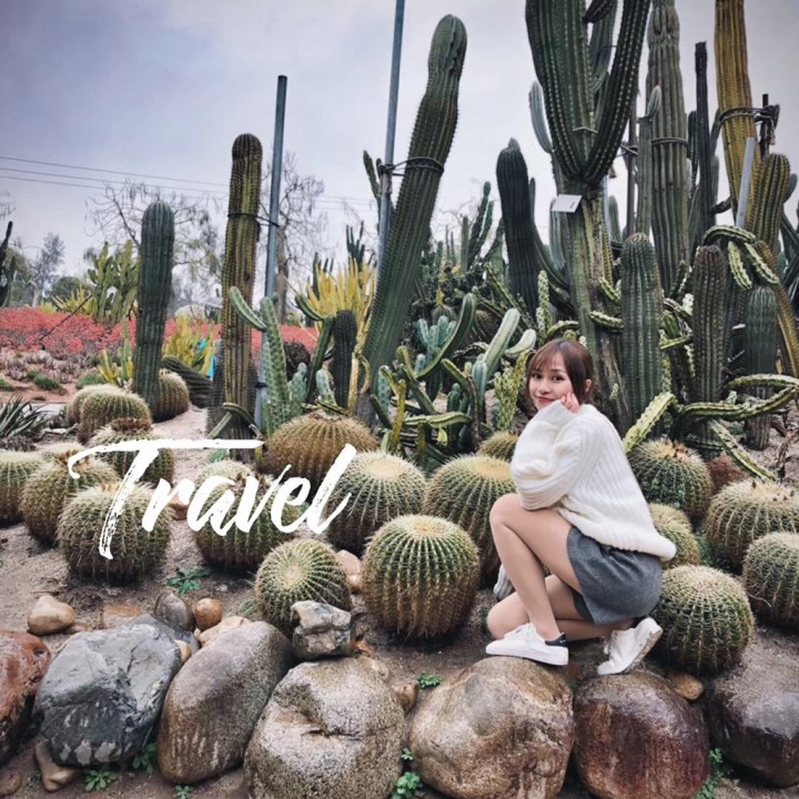 珊瑚海【原版伴奏】