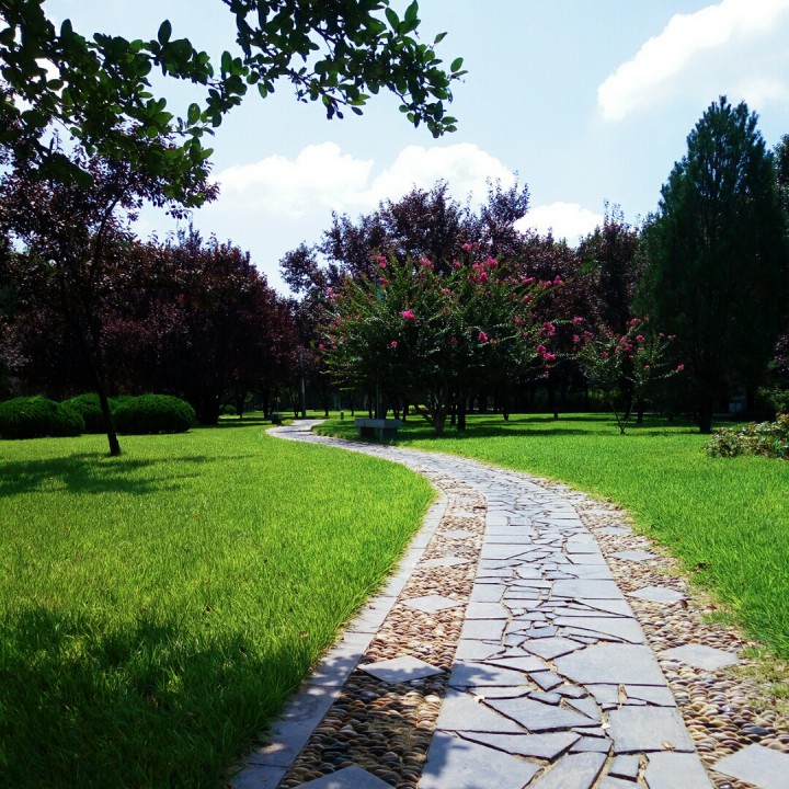 望星空 十五的月亮 降调伴奏【乐在飞扬 华圸制