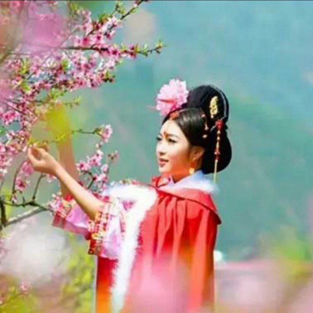 悠悠桃花情