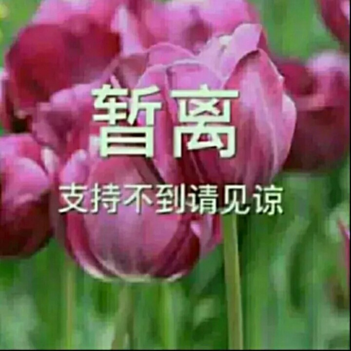 暂离不互动的图片,暂离唱吧不互动的图片,休息暂离的图片_大山谷图库