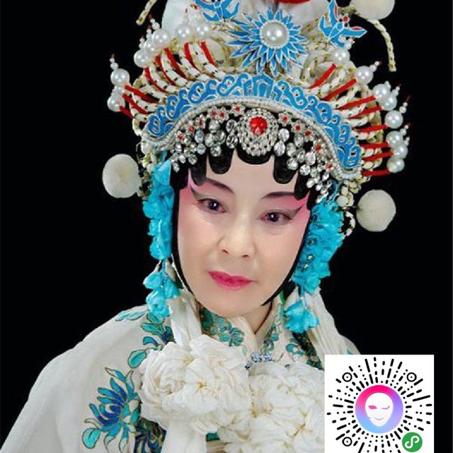 豫剧 义烈女 见公子【最深处记忆同步戏词】