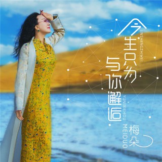 藏爱【DJ版 立明】 - 游来游去小鲤鱼 - 唱吧,手