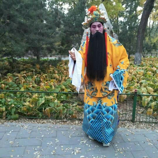 打金枝豫剧全集刘忠河上集,打金枝豫剧全集刘忠河劝驸马