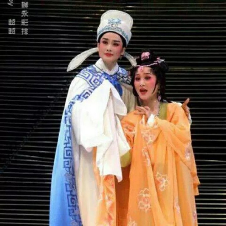 越剧 陆游与唐婉 小红楼【茅威涛】