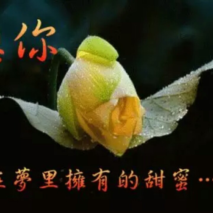 邂逅回忆