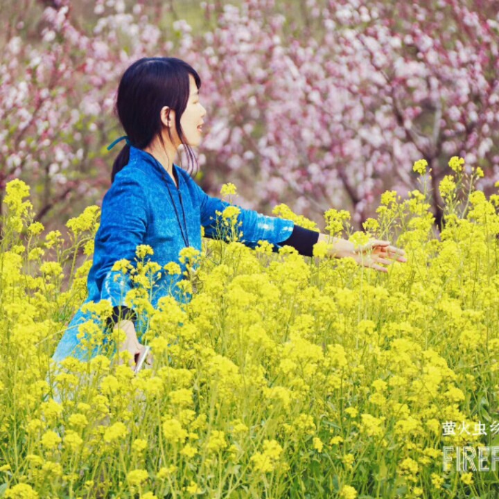 敖包再相会【原版伴奏】