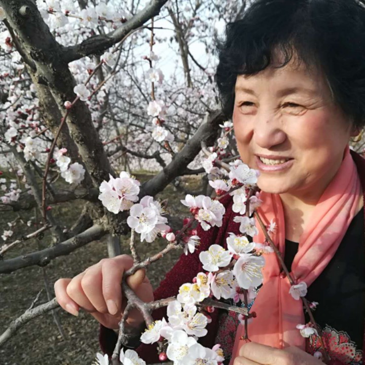 豫剧《花木兰》 谁说女子不如男【原版】