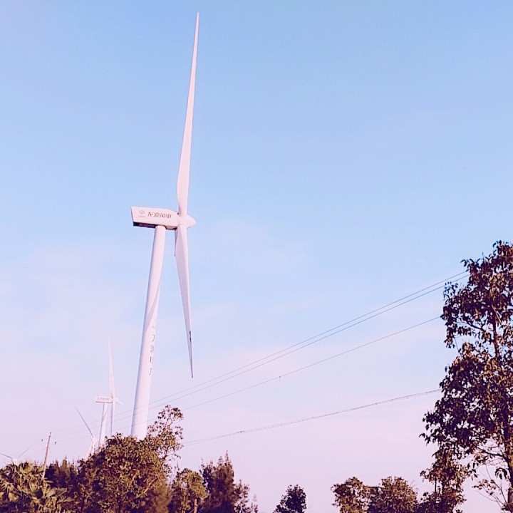 萍聚【带男原唱】