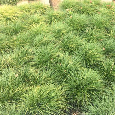 沪剧 蹁跹共舞度良宵 诀别