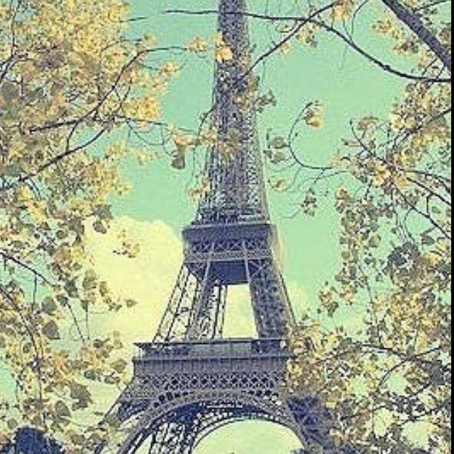 最重要的决定+-+ending