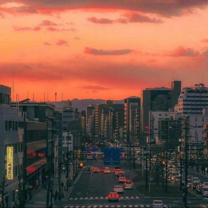 想你想到快疯了【电视剧《流星花园2018版》