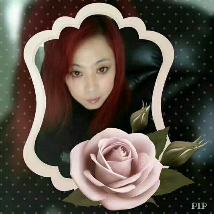 总有一天等到你