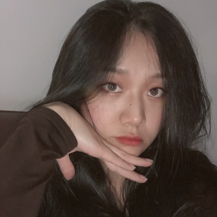 十七岁的北极星