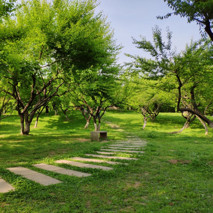 望星空 十五的月亮 降调伴奏【乐在飞扬 华圸制