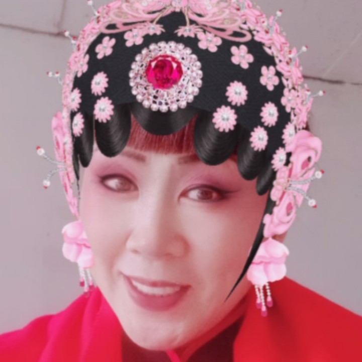 京剧贵妃醉酒选段海岛冰轮初转腾(友情版)